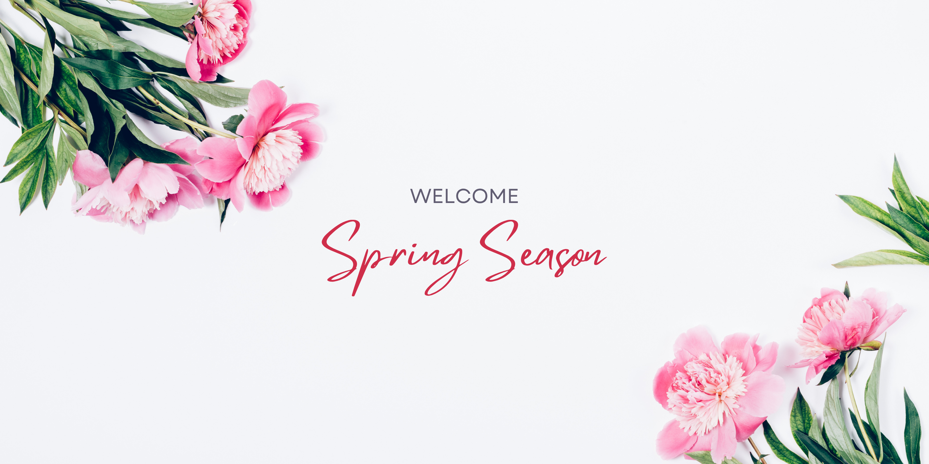 Un texte écrit sur un fond blanc entouré des fleurs